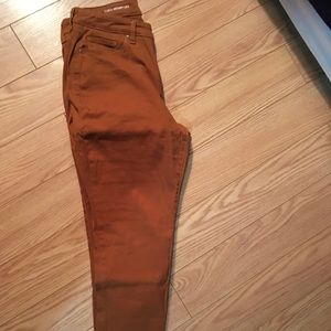 Style & Co Curvy Skinny Leg Jeans